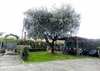 Foto 40 - Villa Lucca - foto 40