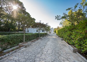 Foto 31 - Villa Viale delle Acacie
 
10, Fasano - photo 31