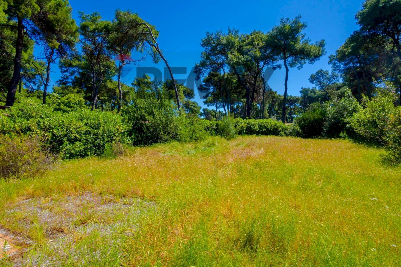 Giardino - Casa semi indipendente Via Dei Biancospini
 
18, Castellaneta - foto 2