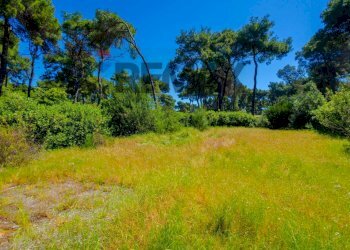 Giardino - Casa semi indipendente Via Dei Biancospini
 
18, Castellaneta - foto 2