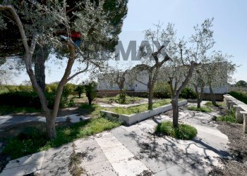 Giardino - Rustico Strada Rurale Santa Lucia
 
snc, Bari - foto 6