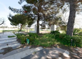 Giardino - Rustico Strada Rurale Santa Lucia
 
snc, Bari - foto 8