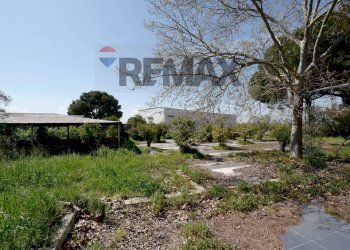 Giardino - Rustico Strada Rurale Santa Lucia
 
snc, Bari - foto 13