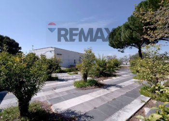 Edificio all\'aperto - Rustico Strada Rurale Santa Lucia
 
snc, Bari - foto 14