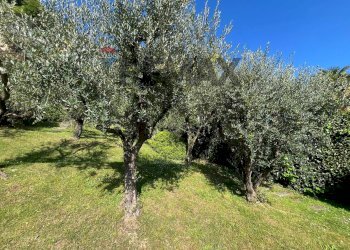Giardino - Two-room apartment VIA LAGO MAGGIORE
 
55, Leggiuno - photo 8