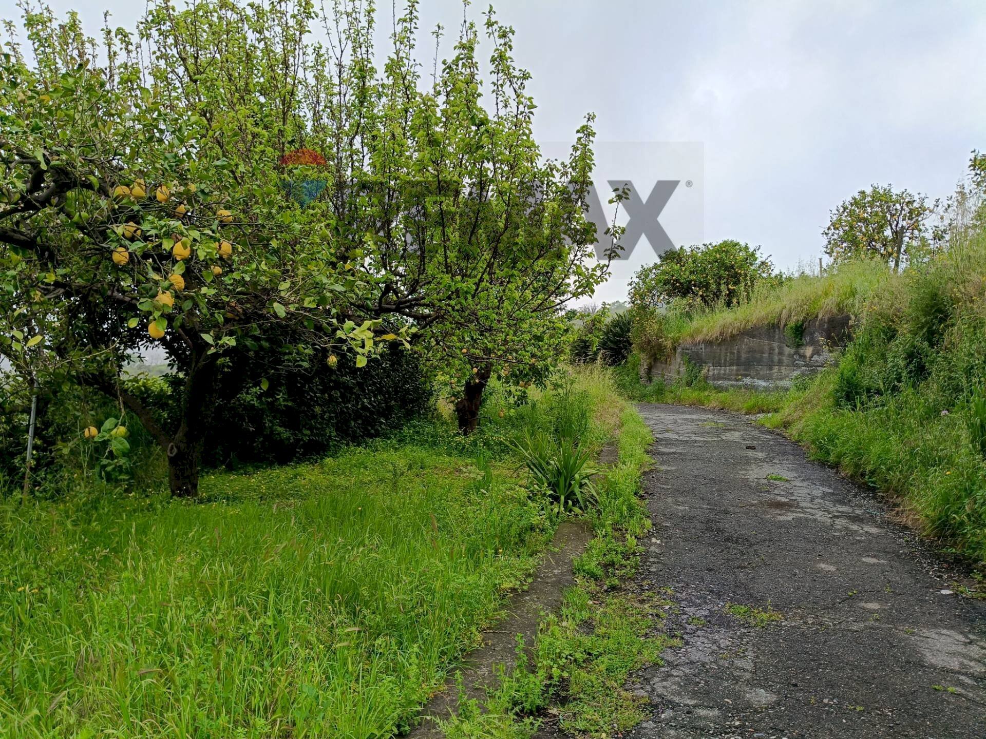 Giardino - Agricultural land Via Giarre Nunziata
 
snc, Mascali - photo 1