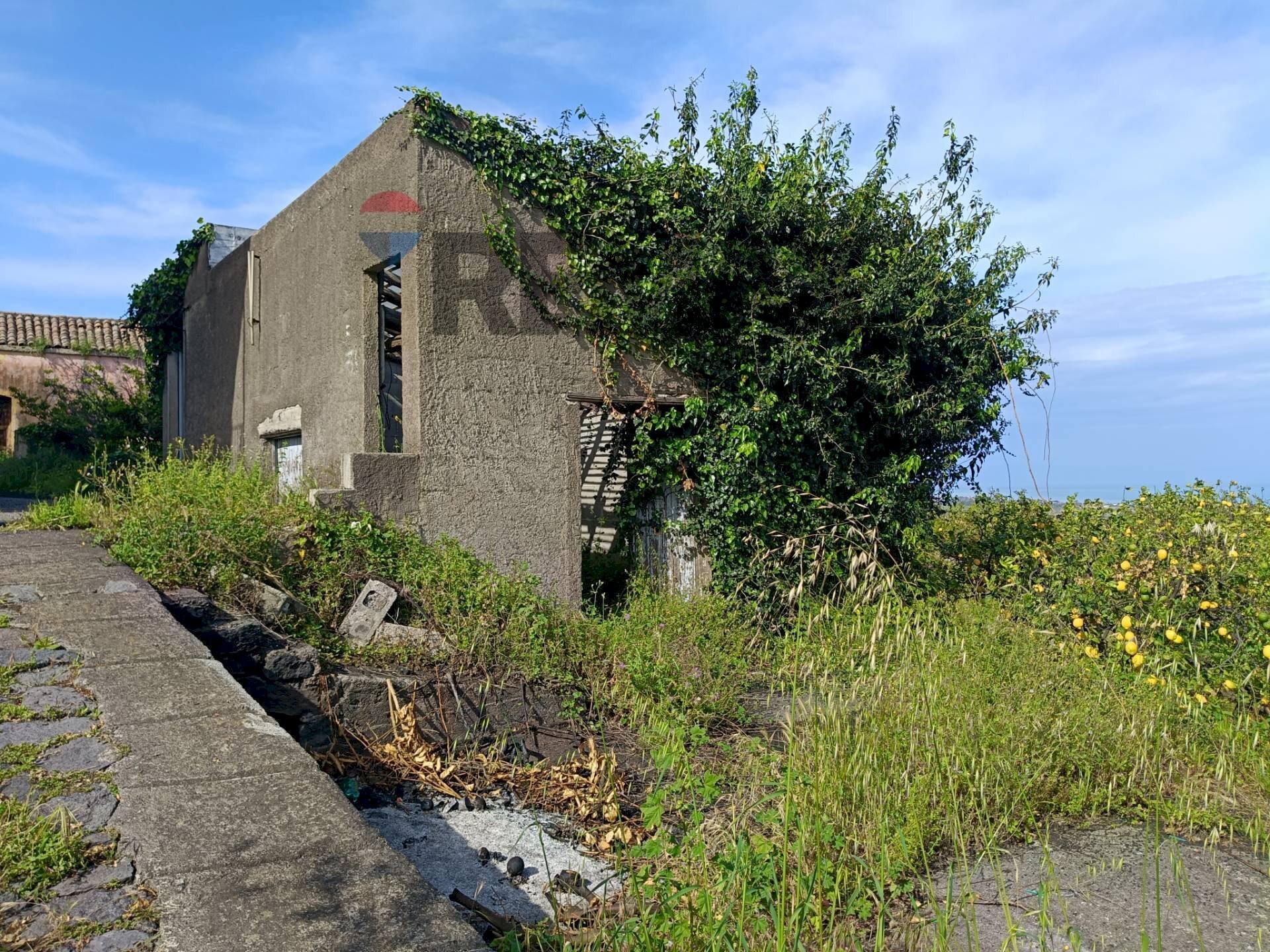 Casa all\'aperto - Terreno agricolo Via Giarre Nunziata
 
Snc, Mascali - foto 3