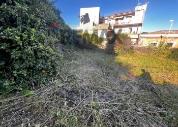 Giardino - Terreno edificabile Via Vincenzo Bellini
 
snc, Gravina di Catania - foto 2