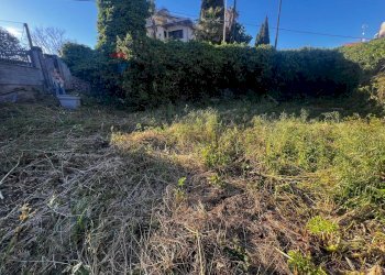 Giardino - Terreno edificabile Via Vincenzo Bellini
 
snc, Gravina di Catania - foto 7