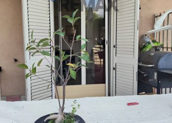 Dettagli - Quadrilocale Via Mario Amato
 
38, Mascali - foto 28