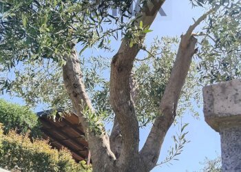 Non correlato - Quadrilocale Via Mario Amato
 
38, Mascali - foto 32