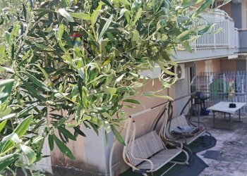 Giardino - Quadrilocale Via Mario Amato
 
38, Mascali - foto 45