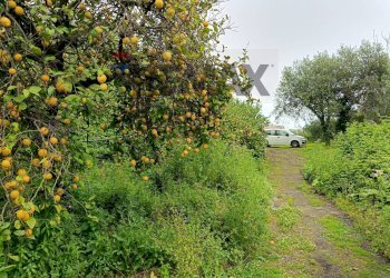 Giardino - Terreno agricolo via Giarre Nunziata
 
sn, Mascali - foto 42