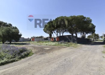 Non correlato - Casa indipendente Via Cavallo Marino
 
snc, Catania - foto 42
