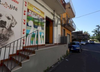 Edificio all\'aperto - Attività Commerciale Viale delle Province
 
85/87/81/83, Giarre - foto 4