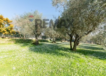 Giardino - Casa indipendente Loc.Libbia
 
18/b, Arezzo - foto 34