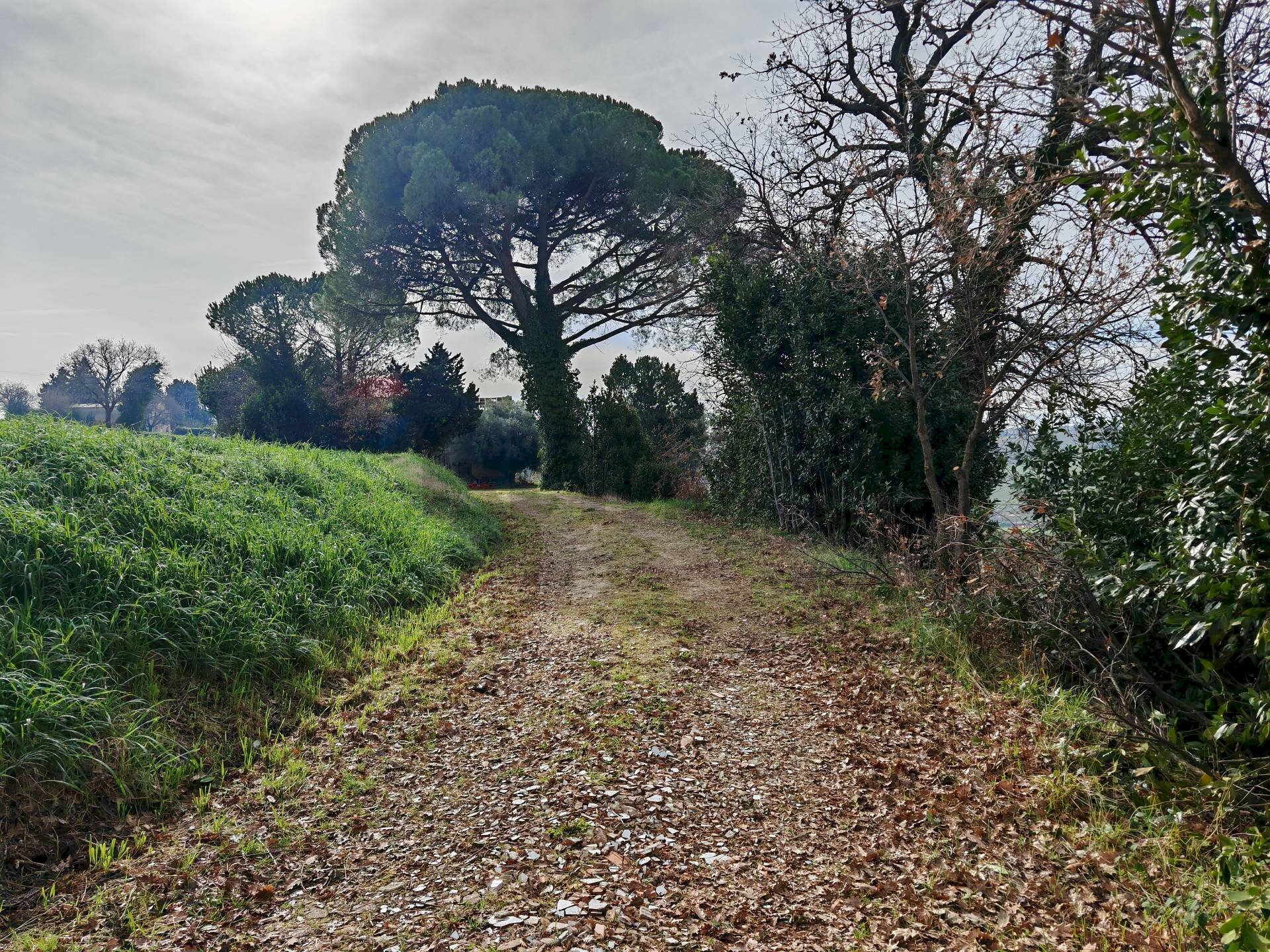 Giardino - Rustic contrada castelnuovo
 
114, Recanati - photo 1