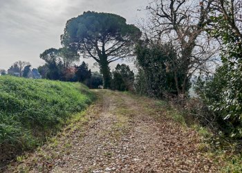 Giardino - Rustic contrada castelnuovo
 
114, Recanati - photo 1