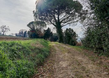 Giardino - Rustic contrada castelnuovo
 
114, Recanati - photo 4