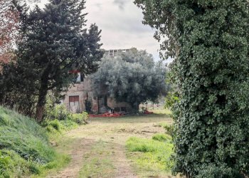 Giardino - Rustic contrada castelnuovo
 
114, Recanati - photo 6
