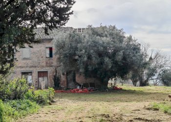 Casa all\'aperto - Rustic contrada castelnuovo
 
114, Recanati - photo 8