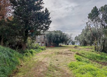 Giardino - Rustic contrada castelnuovo
 
114, Recanati - photo 9