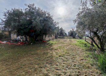 Giardino - Rustic contrada castelnuovo
 
114, Recanati - photo 17