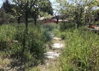Giardino - Villa via Mattia Preti
 
15, Pedara - photo 11