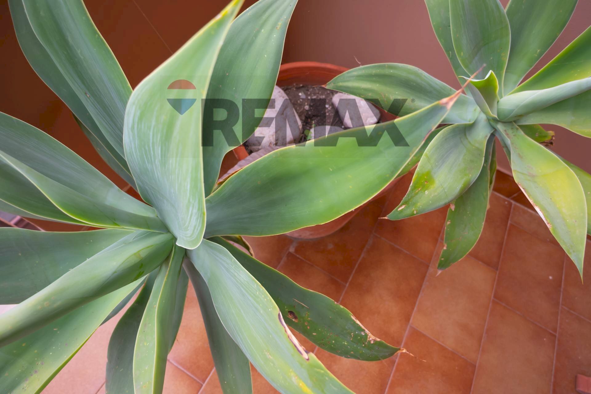Dettagli - Three-room apartment VIA SIENA
 
13, Sant'Alessio Siculo - photo 3