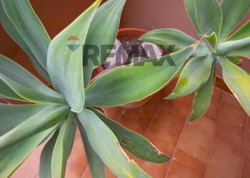 Dettagli - Three-room apartment VIA SIENA
 
13, Sant'Alessio Siculo - photo 3