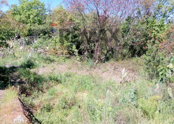 Giardino - Terreno agricolo Via Alcide de Gasperi
SNC, Trecastagni - foto 9