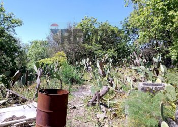 Giardino - Terreno agricolo Via Alcide de Gasperi
SNC, Trecastagni - foto 27