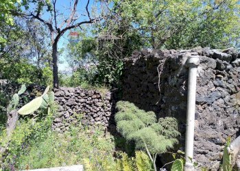 Giardino - Terreno agricolo Via Alcide de Gasperi
SNC, Trecastagni - foto 32