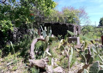 Giardino - Terreno agricolo Via Alcide de Gasperi
SNC, Trecastagni - foto 37