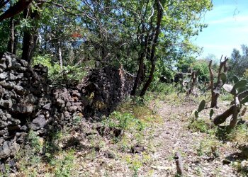 Giardino - Terreno agricolo Via Alcide de Gasperi
SNC, Trecastagni - foto 52