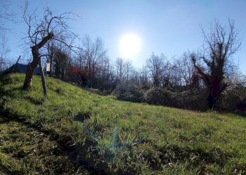 Giardino - Semi-detached house Altare - photo 4