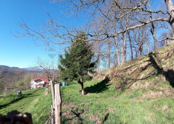 Vista delle montagne - Semi-detached house Altare - photo 5