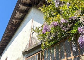 Foto 6 - Rustico via santa Maria
 
21, Castagnole delle Lanze - foto 6