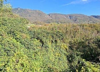 Vista delle montagne - Rustic Fregona - photo 38