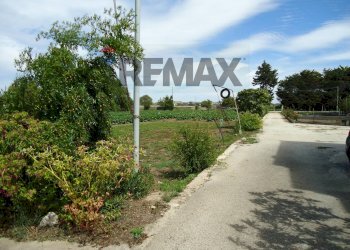 Giardino - Independent house Via Chiasuzza, Ispica - photo 25