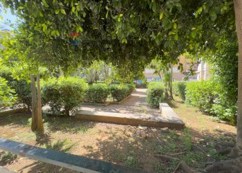 Giardino - Appartamento viale regione siciliana
 
2368, Palermo - foto 3