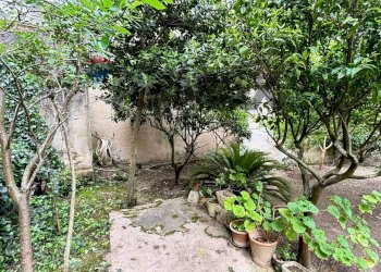 Giardino - Independent house Via vespri
 
347, Valderice - photo 43