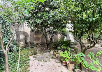 Giardino - Casa indipendente Via vespri
 
347, Valderice - foto 25