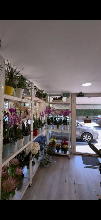 Interno non residenziale - Commercial Activity via Carlo Carcano, Varese (neighborhood Biumo Inferiore) - photo 3