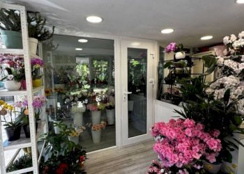 Interno non residenziale - Commercial Activity via Carlo Carcano, Varese (neighborhood Biumo Inferiore) - photo 6