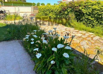 Giardino - Semi-detached house VICO GIACOMO PUCCINI
 
10, Trani - photo 21