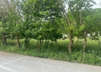 Posto macchina - Terreno edificabile via Orti, Vignolo - foto 9