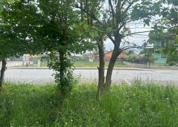 Zona - Terreno edificabile via Orti, Vignolo - foto 11