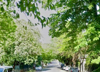 Zona - Villa via Giovanni Marchetti, Bologna (zona Colli) - foto 4