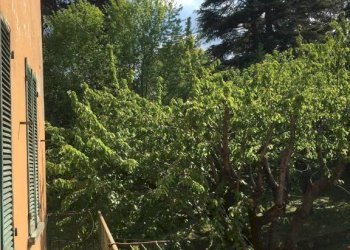 Giardino - Villa Banchette - foto 33